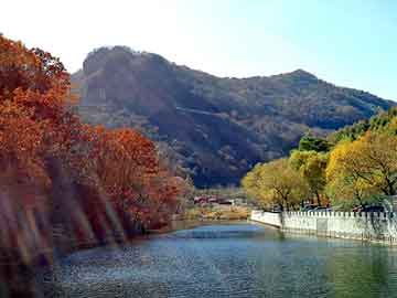 管家婆黑白马报图库，战武道